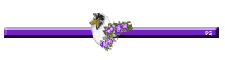 Blue merle divider bar, purple.